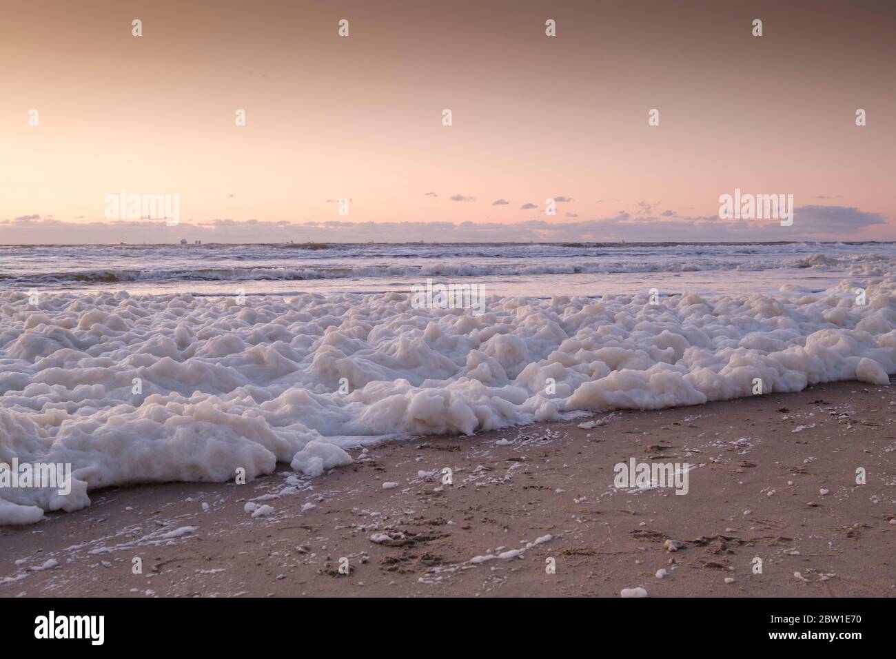 Sea foam, a habitat for marine microorganisms such as zooplankton, phytoplankton, algae, and protozoans. On coastal beach at sunset. Stock Photo