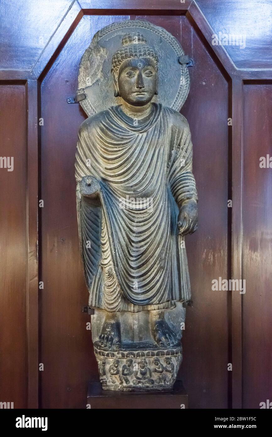 Gandhara Buddha statue, Stone Carving, Lahore Museum, Lahore, Punjab