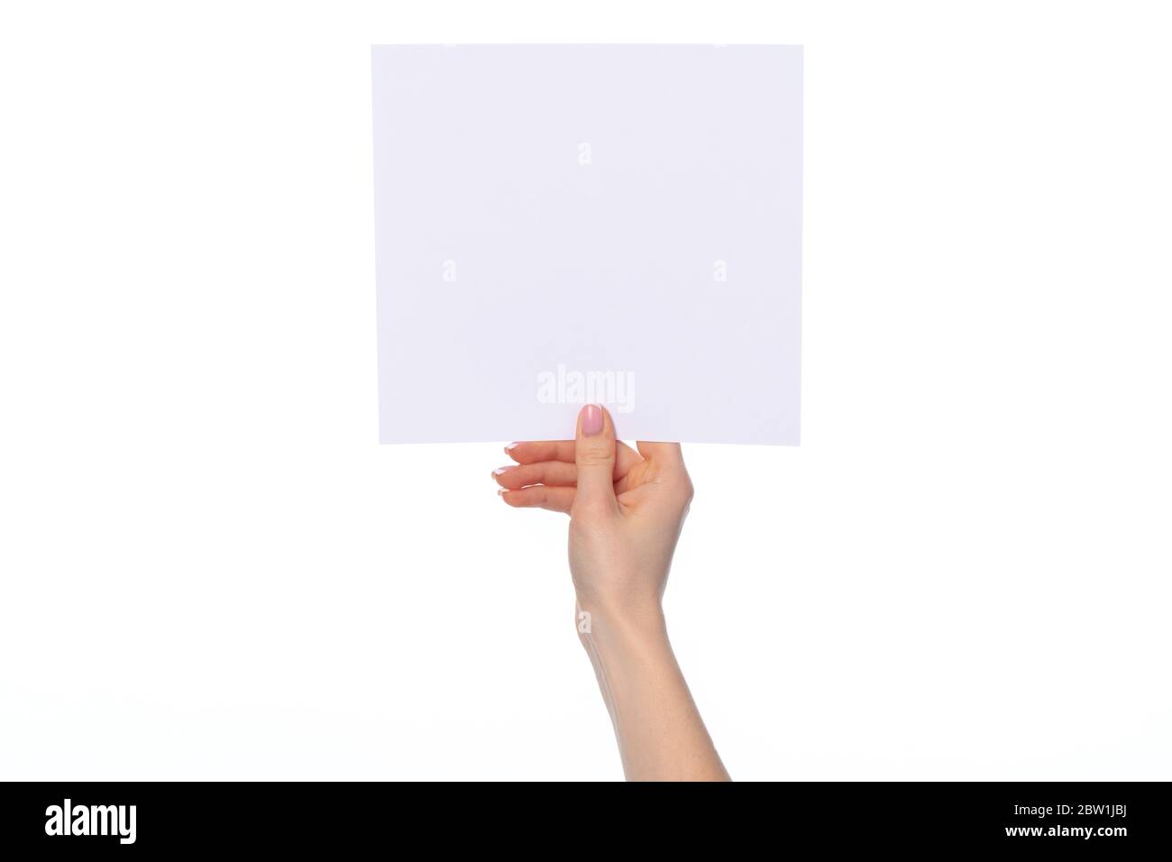 Female hand holding blank white sheet of paper isolated on white Stock ...