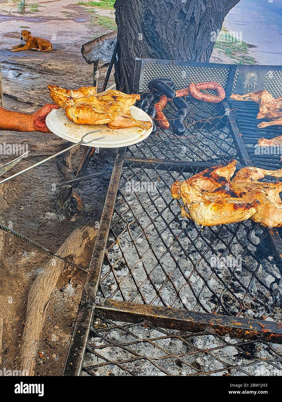 Robin Ave Charcoal Chicken 2025