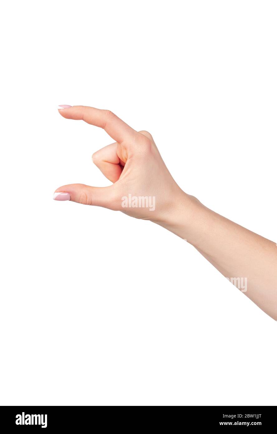 Female hand holding something isolated on white background Stock Photo ...
