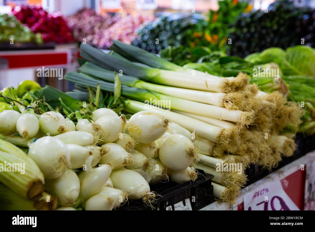 Bundles Of Spring Onion High Resolution Stock Photography and Images ...