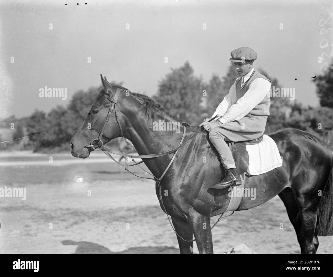Derby candidate has gallop on Epsom Downs. Scarlet Plume, owned by Mr Robin McAlpine, was among the Derby candidates who went for a gallop on the Downs at Epsom in preparation for Wednesday's big race. Scarlet Plume is trained at Epsom by V Smyth. Photo shows, Scarlet Plume at Epsom. 31 May 1937 Stock Photo