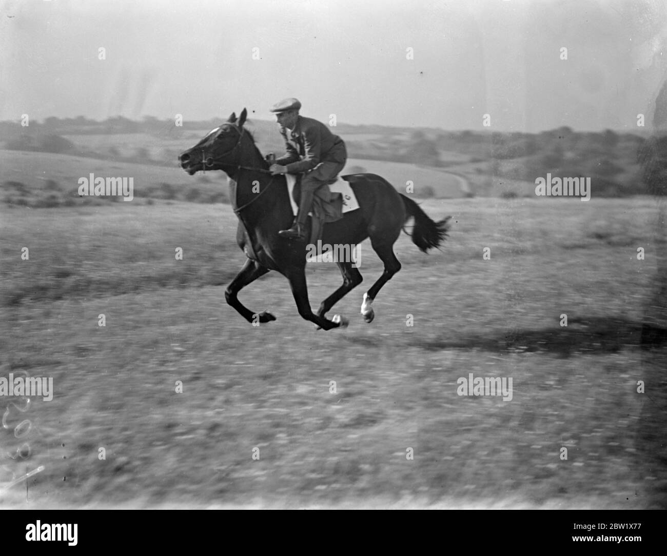 Derby favourites exercised at Epsom. Le Ksar , M E de St Alary's favourite for the Derby, was exercised by a stable lad over the Downs at Epsom with big race to be run on Wednesday. Photo shows, Le Ksar out for exercise at Epsom. 31 May 1937 Stock Photo