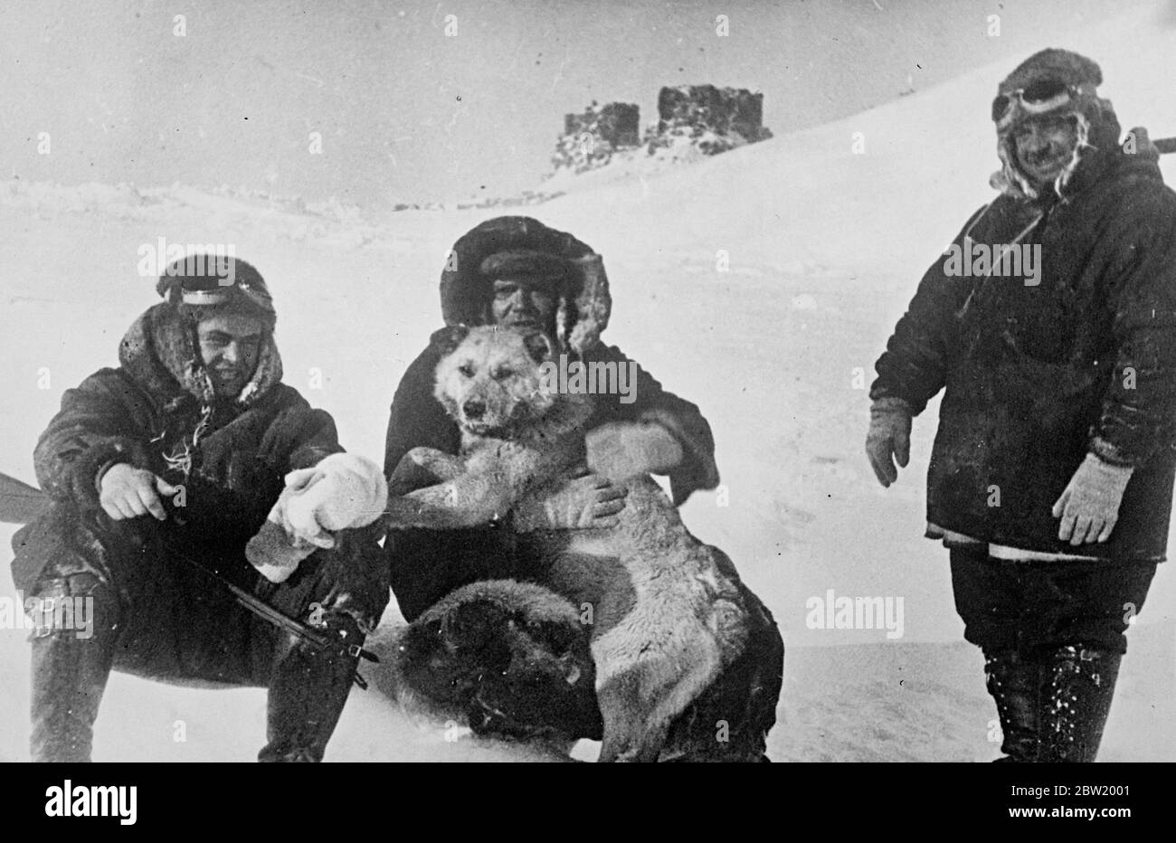 Members of the Soviet polar pioneers expedition with one of their dogs on the ice. Left to right - P.Shirshov; E. Krenkel and I. Papanin, the captain. The Russian scientists are conquering the legendary land of ice and snow on top of the world that is still uncharted. They have settle down for a year's stay on an ice floe at the North Pole and are now making whether surveys. 2 July 1937 Stock Photo