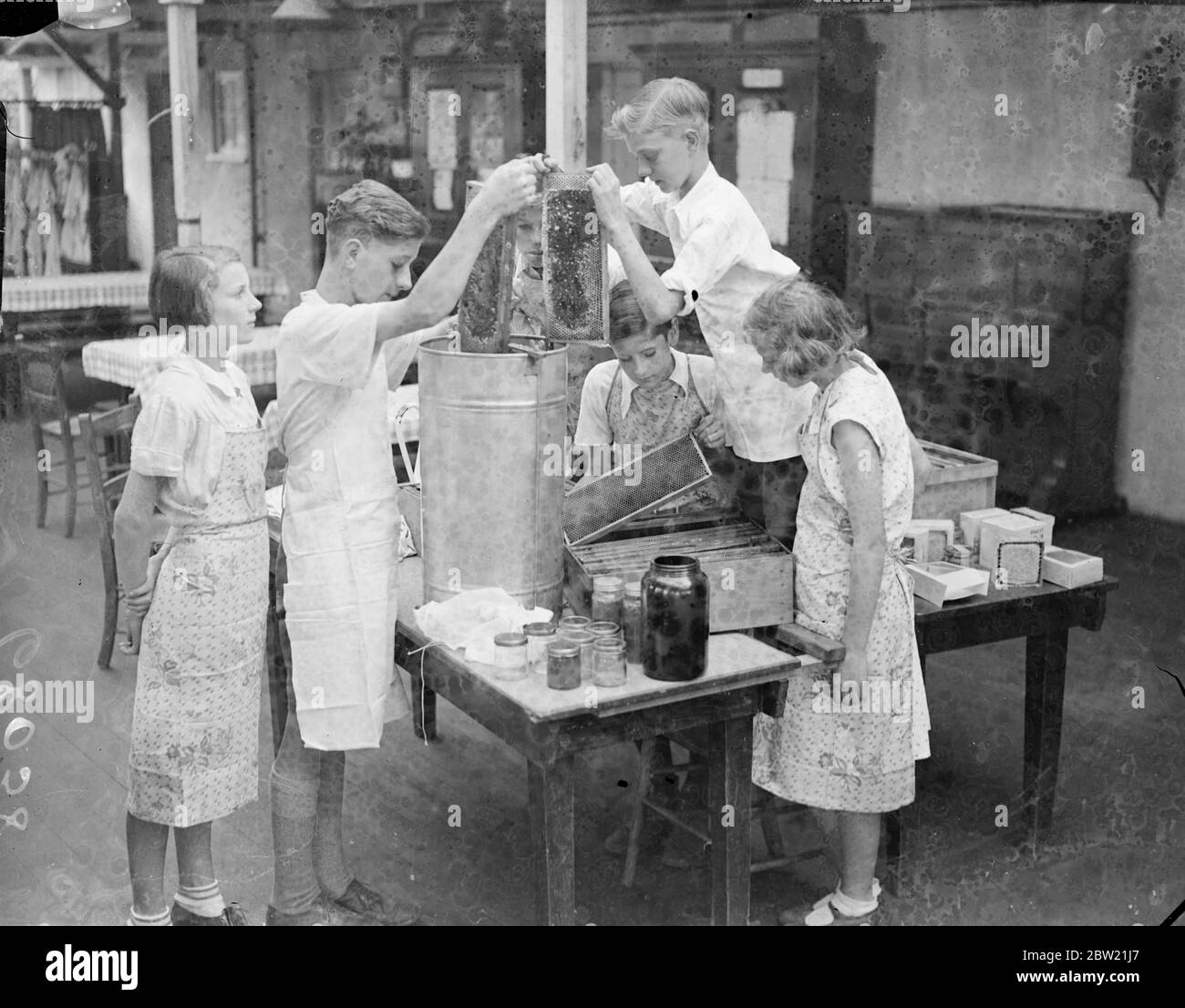 A pupil scraping the wax cap from the comb before it is placed in turn where the honey is removed by centrifugal force. Beekeeping is now included in the curriculum of the wood Lane School in Shepherd's Bush, London. The pupils are given complete instruction in the art from gathering the nectar to the final process of bottling the honey. 5 September 1937. Stock Photo