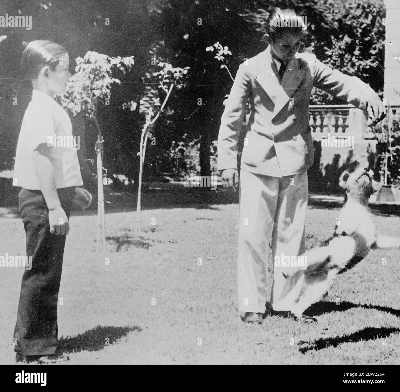 The brothers of Farida fiancee of King Farouk, playing with the dog which the young Egyptian monarch presented to her after the announcement of the engagement.Farida which means peerless was a childhood friend of Farouk. Her name was changed from Sasi Naz to confirm with the role that all names of members of the Egyptian born family must begin with the letter F. 7 September 1937. Stock Photo