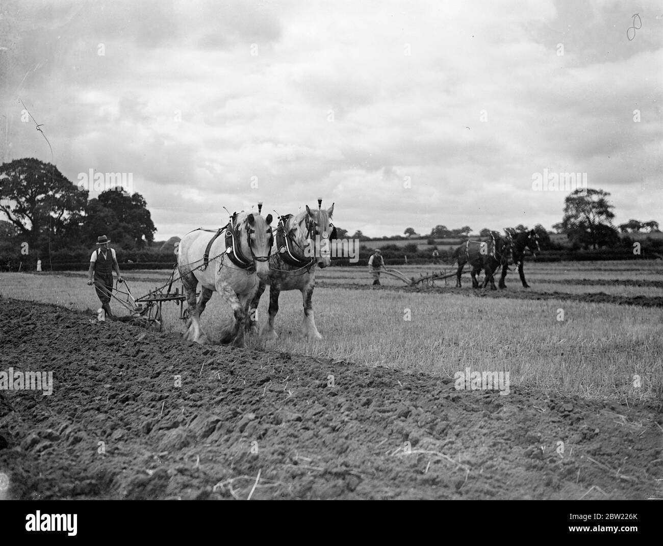 Mr A Shaw competitor in the ploughing competition which was the leading feature at the annual Chertsey agricultural show, Surrey. 15 September 1937. Stock Photo