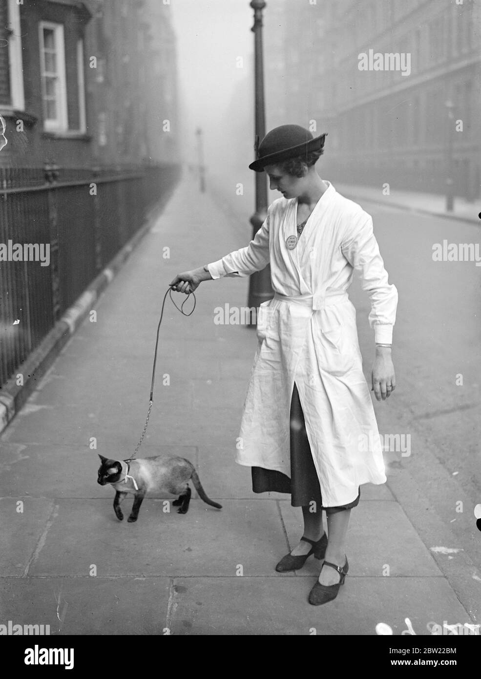 The Siamese cat club show is now in progress at Chenie Street drill Hall, Bloomsbury. Miss Phyllis Thame arising with her Cecile pointed Siamese Blarney of beadle on a lead. 29 September 1937. Stock Photo