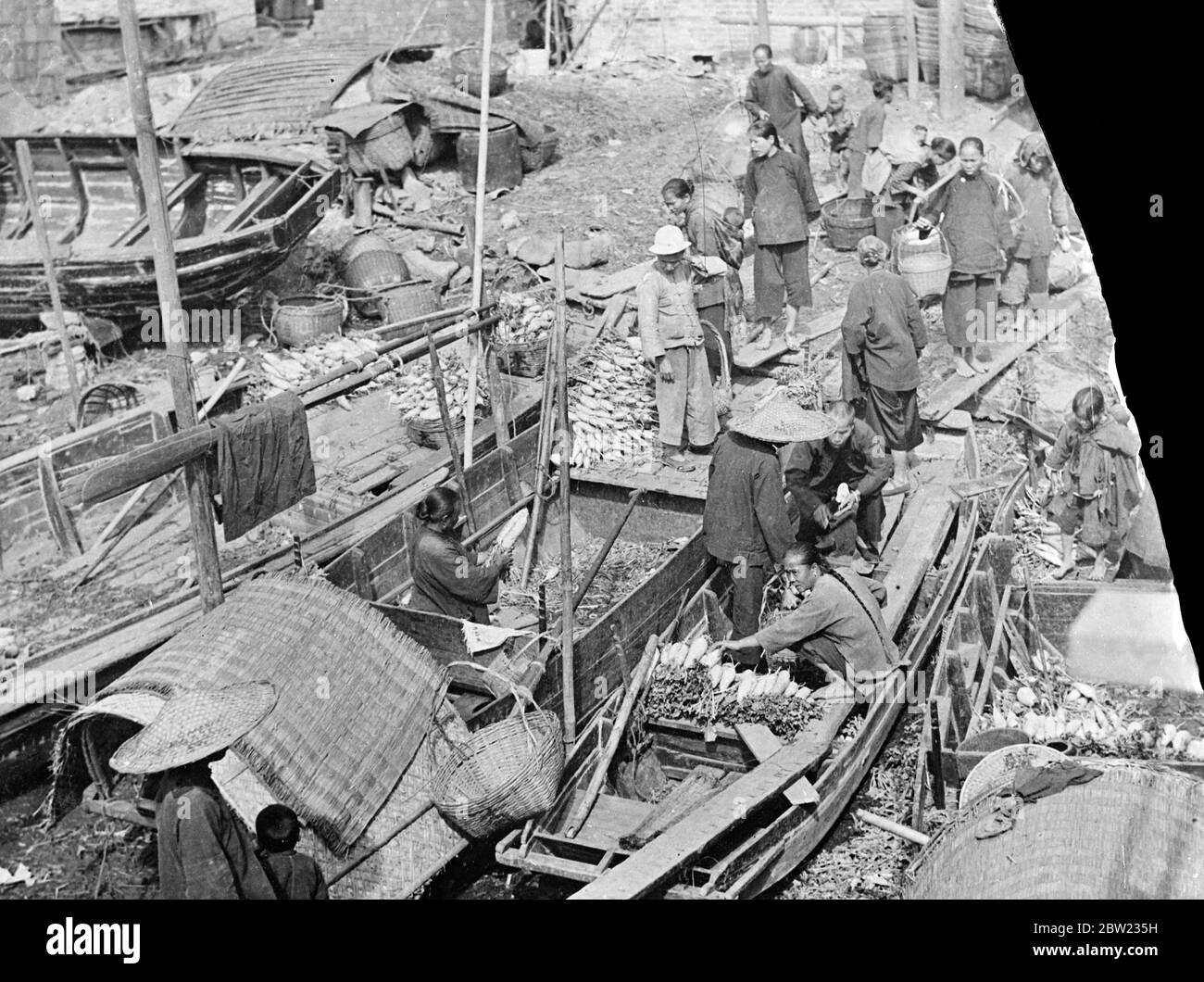A thousand people are reported dead after a horrific dawn air raid on Canton, South China, by Japanese bombing planes. Many of the bombs fell in the densely populated poorer districts of the city. The white radish market. Sampans from up the river come to the market loaded with radishes. While the men haggle four hours, the women do the actual work of unloading. 23 September 1937 Stock Photo