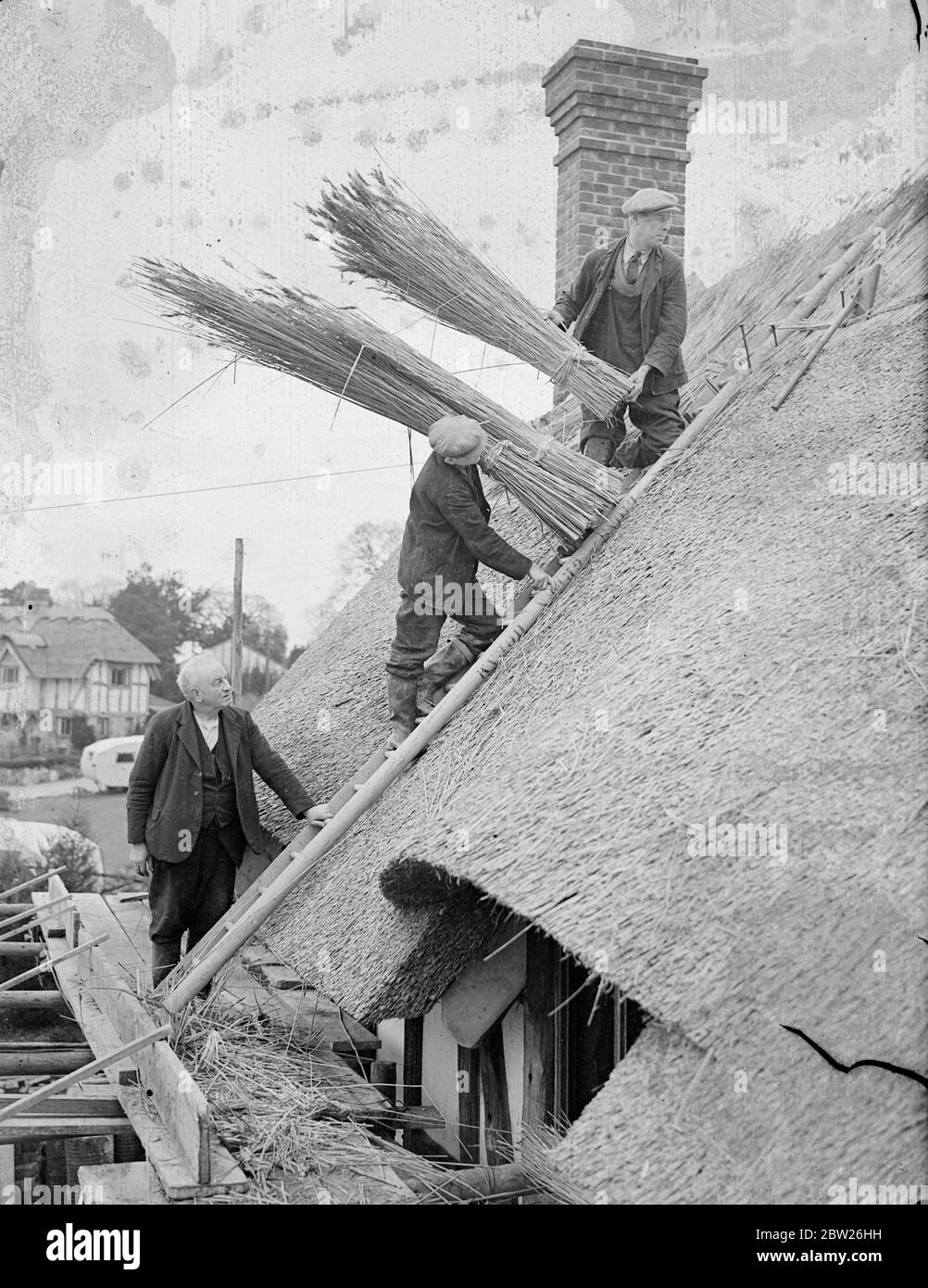 Old craft for modern buildings, reeds from the Norfolk Broads. Thatchers at work on the roof of a new roadhouse on the London Brighton Road at Warninglid, near Bolney, Sussex. The bundles of reeds they are using for the Thatcher brought specially from the Norfolk Broads. 25 January 1938 Stock Photo