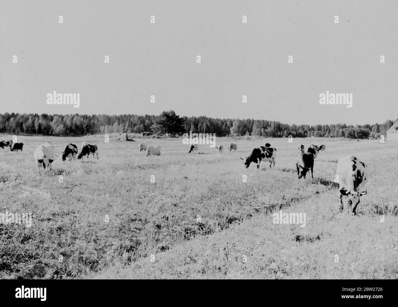 Urban farmers Black and White Stock Photos & Images - Alamy