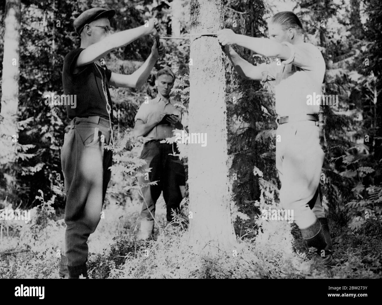 Worlds greatest foresters. Stock Photo