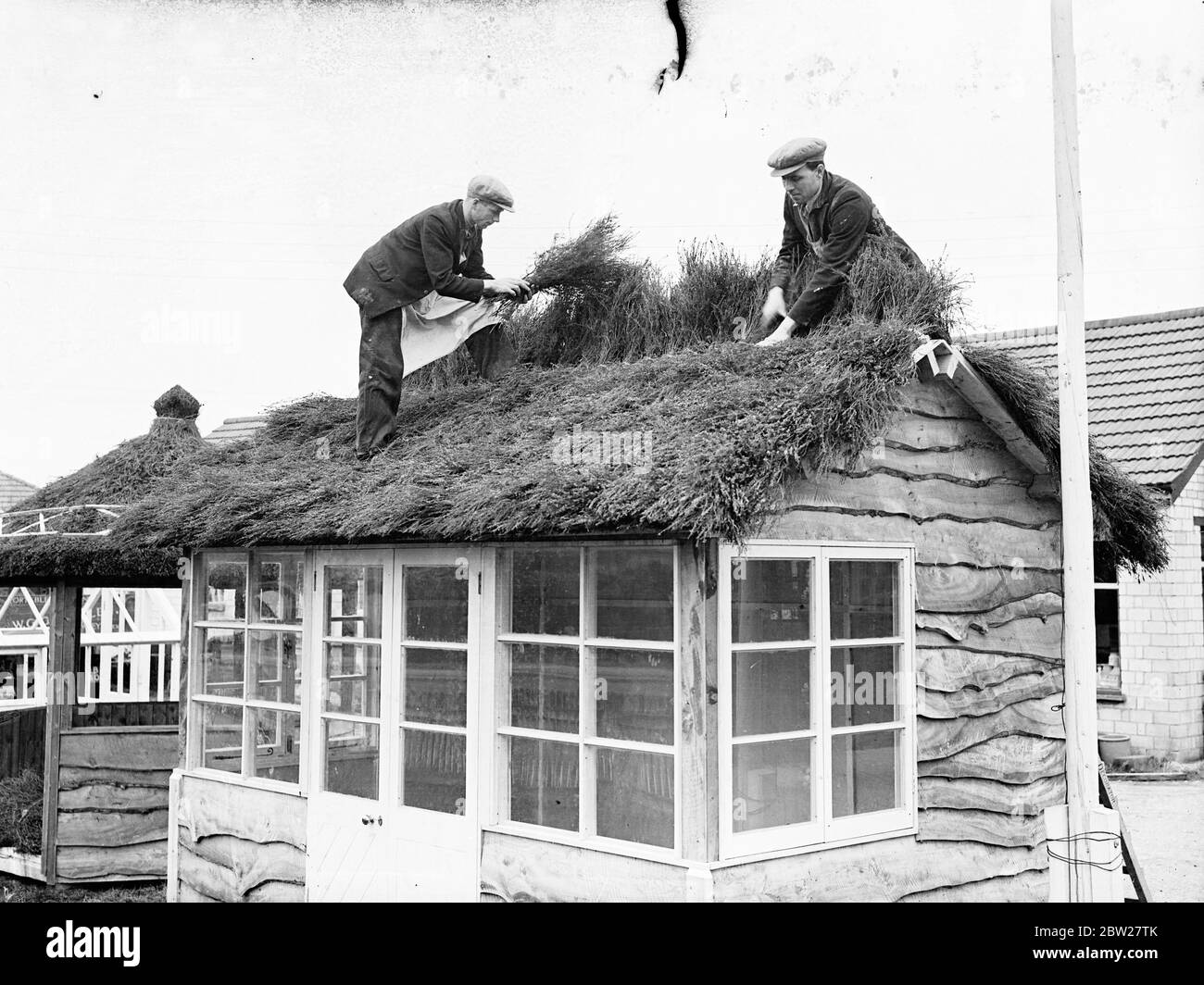 They use heather for thatching in Sussex. An unusual custom prevailing in some parts of Sussex is the use of heather for the thatching of small buildings and outhouses. Photo shows, men thatching a building at Crawley, Sussex, with Heather gathered at Sherry Plain nearby. 22 January 1938 Stock Photo