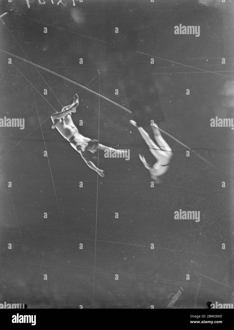 When They Miss On The Flying Trapeze This Picture Was Taken At The Moment When A Thrill Not On The Programme Was Provided At The Final Rehearsal Of Bertram Mills Circus At