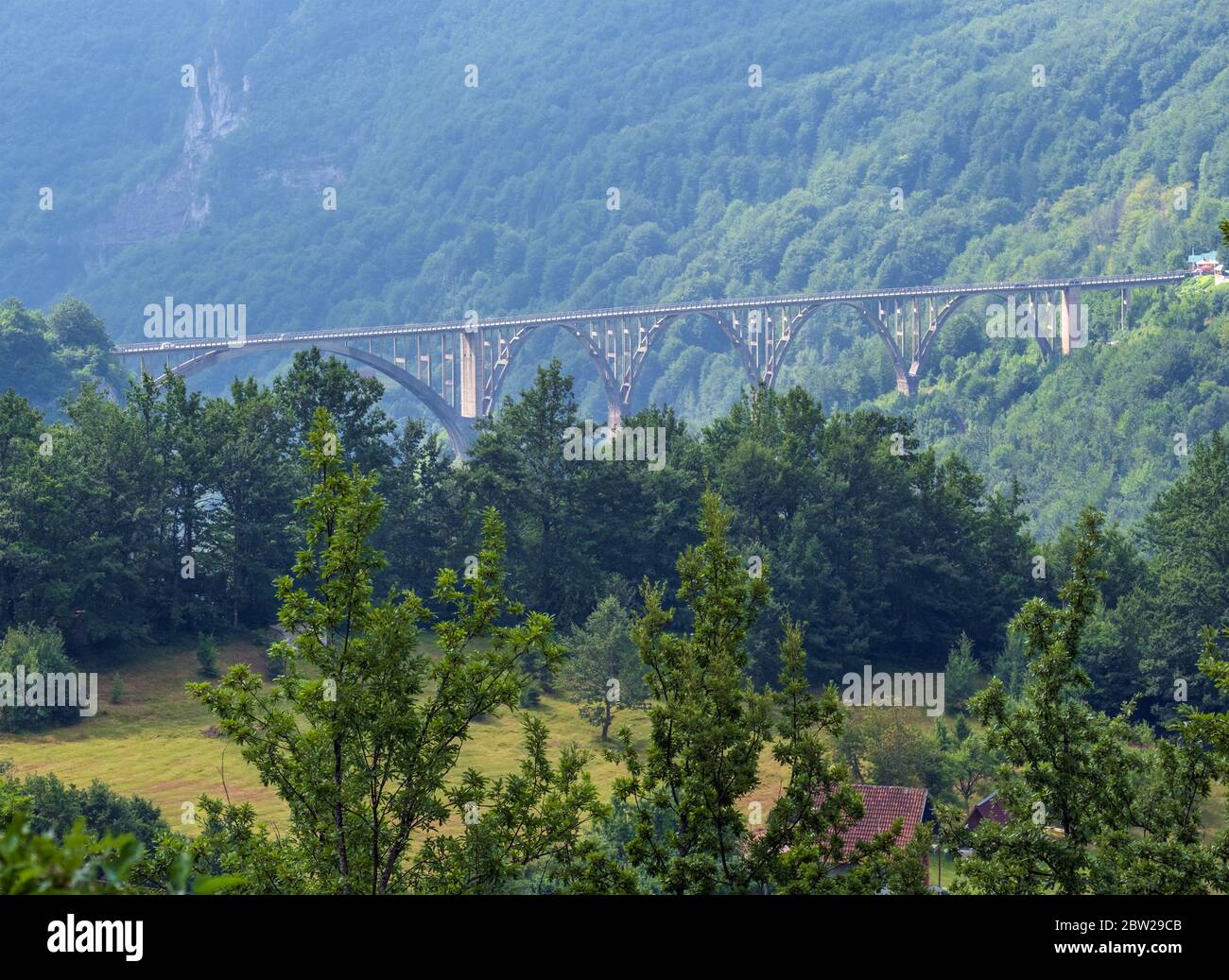Summer misty mountain landscape with bridge(Tara Canyon, Montenegro). Stock Photo