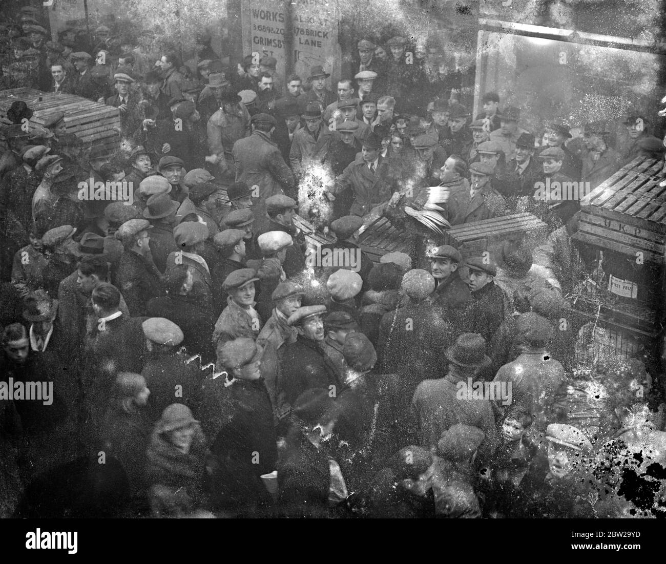 Buying the Christmas dinner on the wing. Despite snow and sleet large crowds gathered round the poultry dealers in the open air market in Schlater Street, Bethnal Green, Bethnal in search of their Christmas turkey today (Sunday). Photo shows, the cloth capped crowd round a Turkey still in Schlater Street today (Sunday). 19 December 1937 Stock Photo
