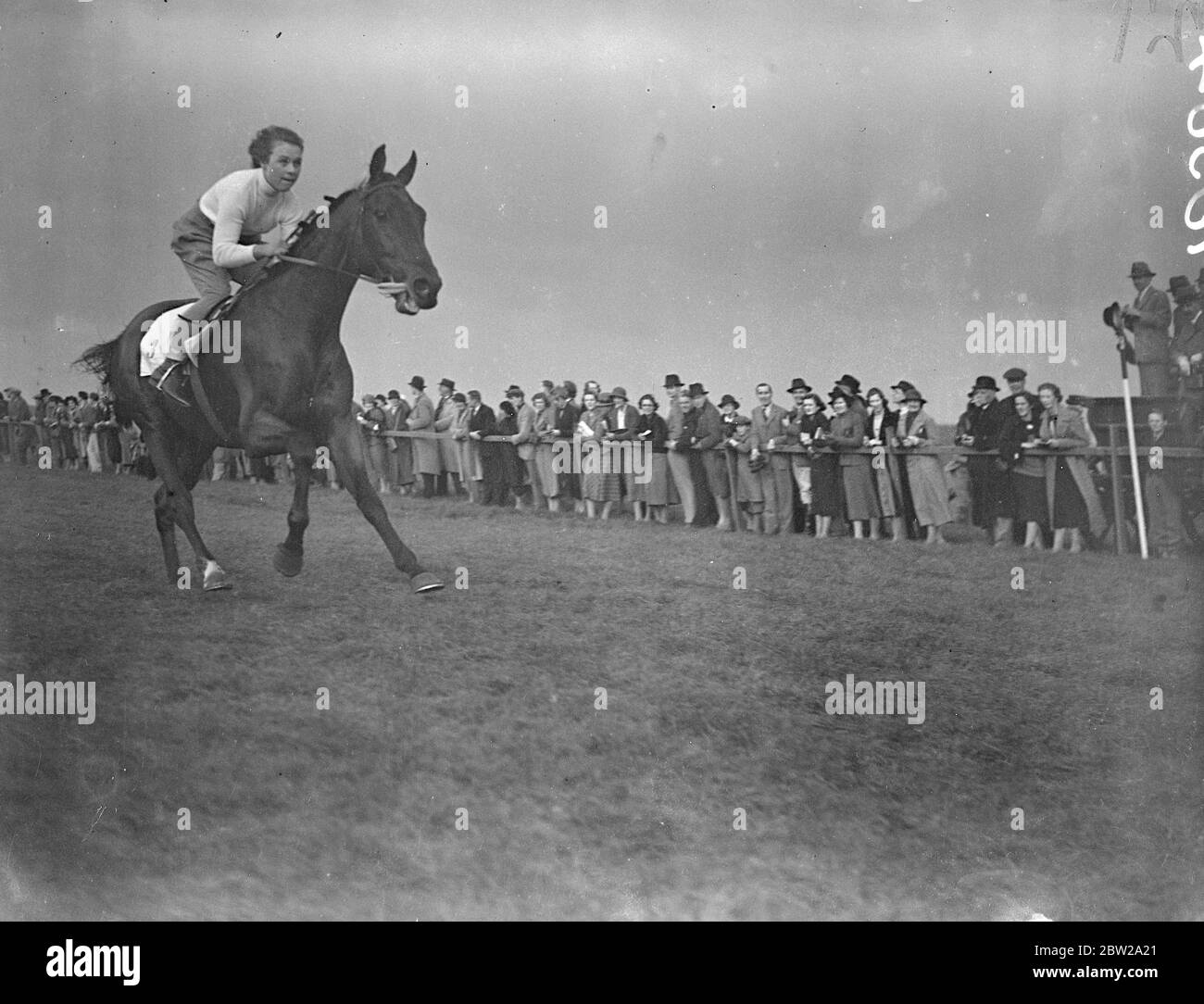 Trainers daughter wins historic race at Newmarket. Riding Mr P Thrales 'Jimmy's pet' Miss A Thrale, daughter of the trainer, one the historic Newmarket Town Plate. The only event in which women riders take part, and Newmarket. Photo shows, Miss A Thrale winning the race on 'Jimmy's Pet'. 14 October 1937 Stock Photo