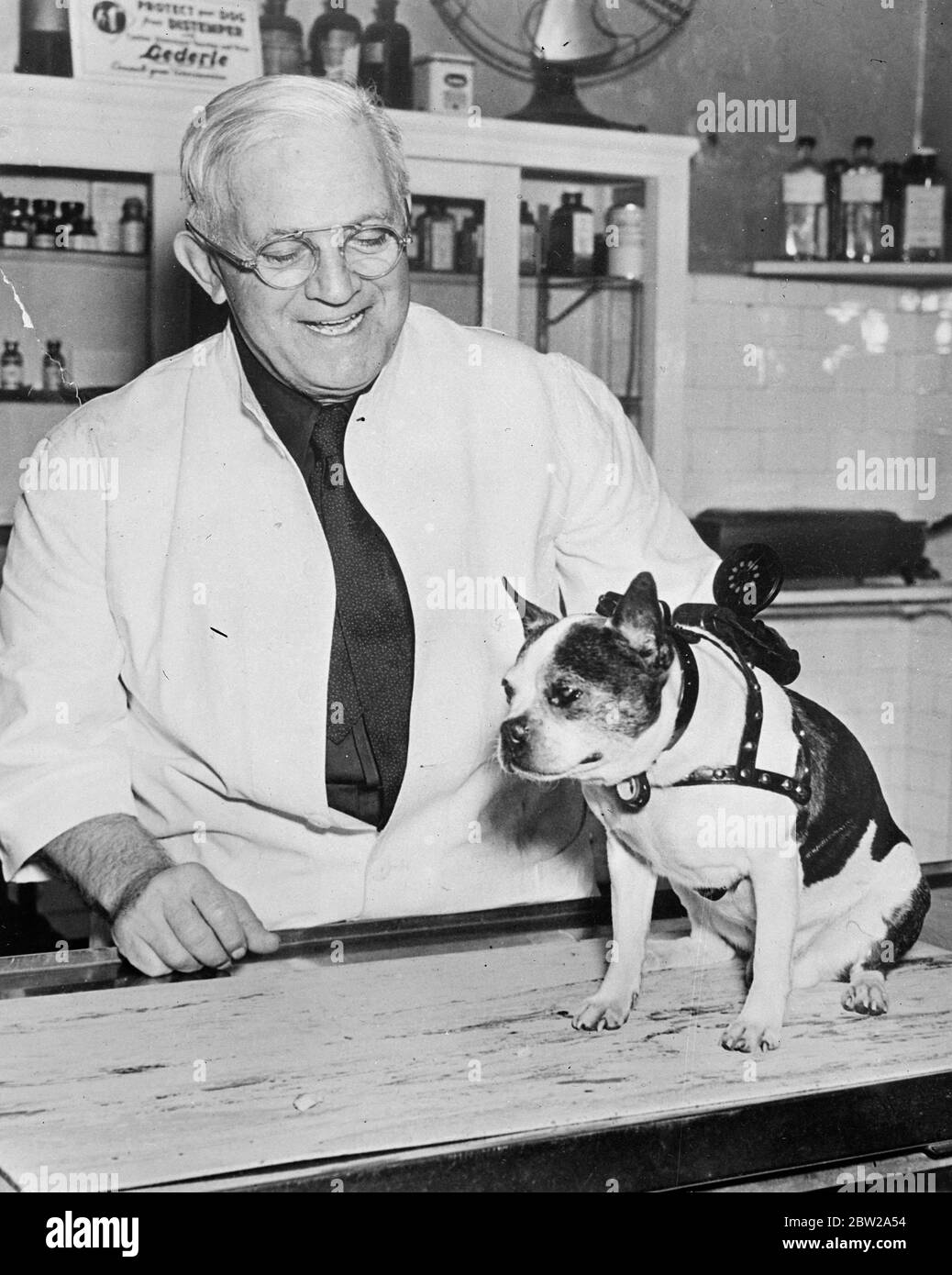 Death cohen Black and White Stock Photos & Images Alamy