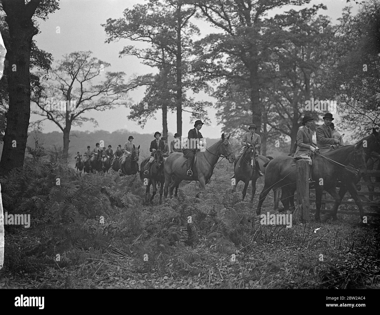 Cubbing meet on the outskirts of London. Only a few miles from London and within reach of the underground railway, the Enfield Chase Hunt held a cubbing meet at North Lodge, Trent Park, the Cockfosters home of Sir Philip Sasson. Photo shows, the field moving off to the first covert. 30 October 1937 Stock Photo