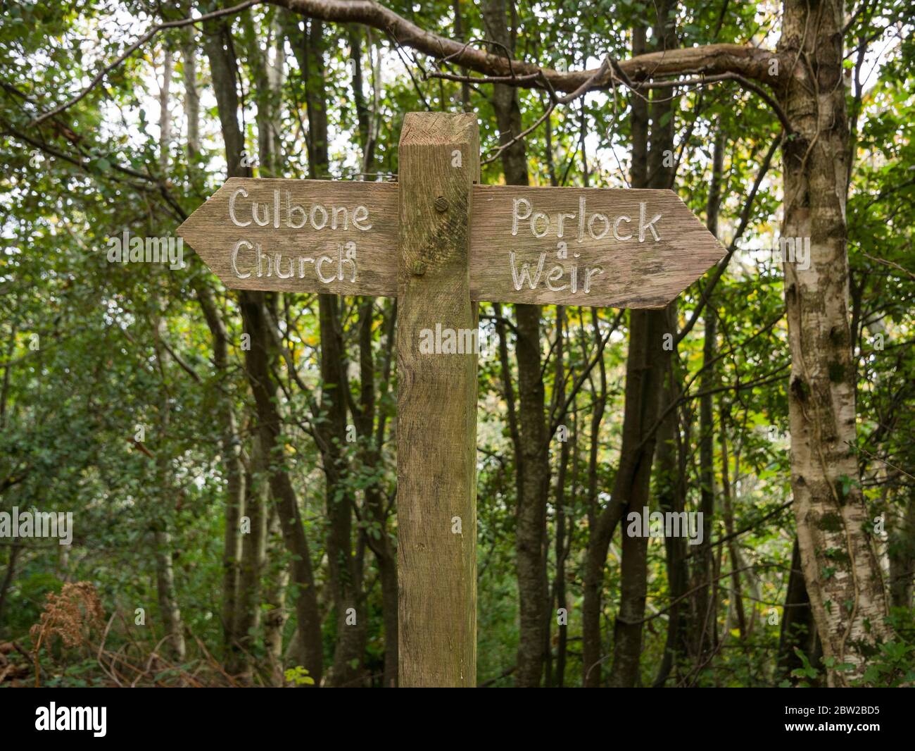 A signpost on the Culbone to Porlock Weir section of the South West