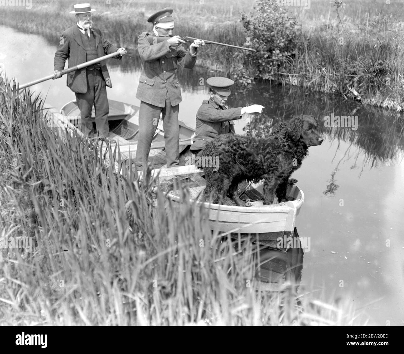Convalescent soldiers rat shooting Wroxham. 1914-1918 Stock Photo