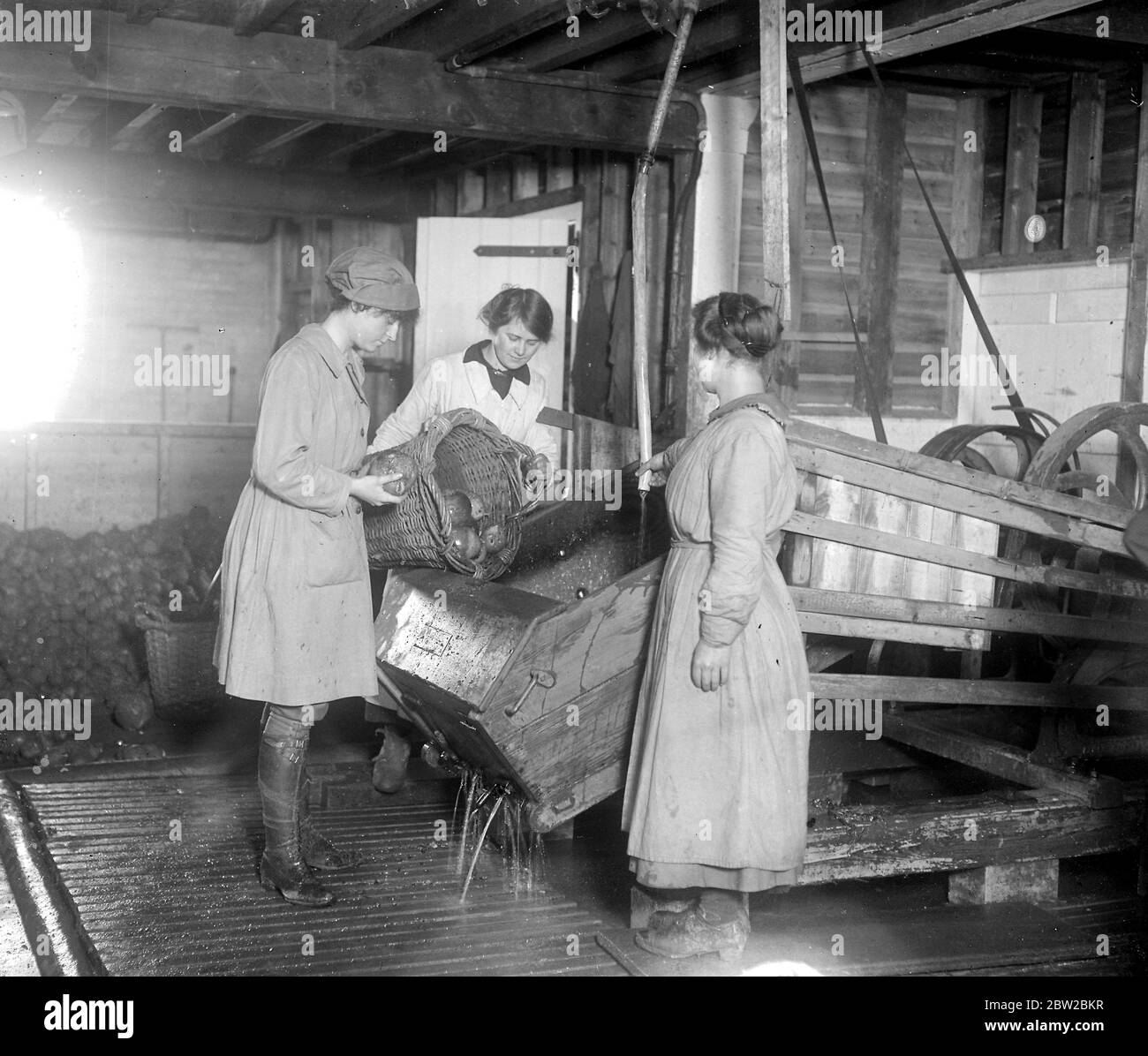 Old hop kilns used in a new village industry in kent - A vegetable drying factory has been organised by the ministry of food, where women are taught to dry all sorts of vegetables in case of any shortage during the coming spring. 2nd Feburary 1918 Stock Photo