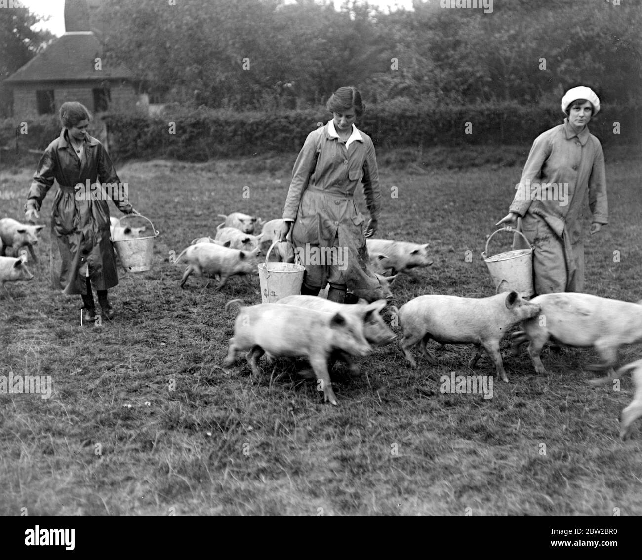 The workers on Lord Rayleigh's farm at Terling. 1914-1918 Stock Photo ...