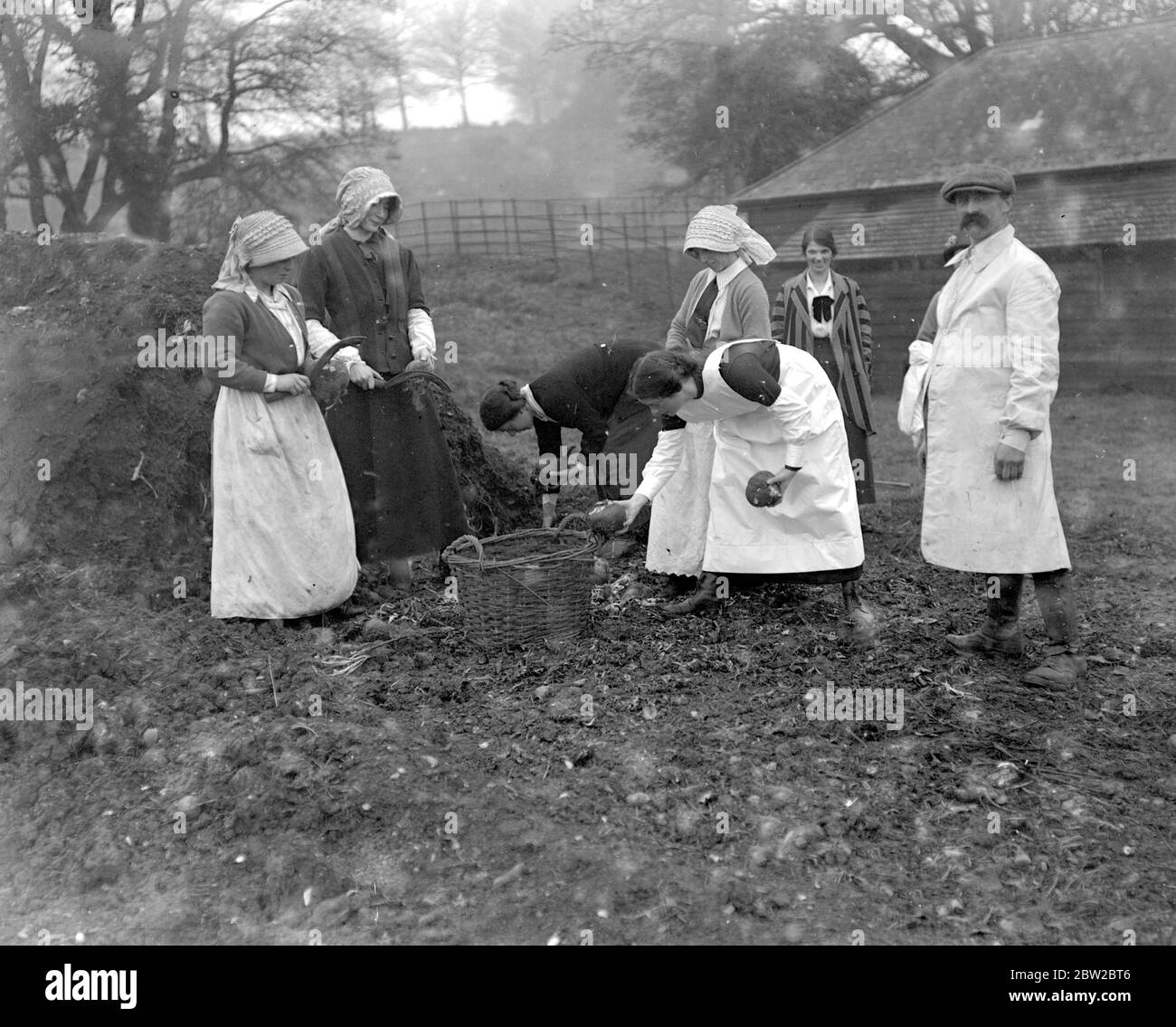 Women farm workers at Sparsholt , Hampshire . 1914-1918 Stock Photo