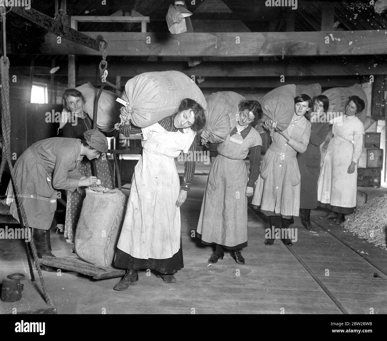 Old hop kilns used in a new village industry in kent - A vegetable drying factory has been organised by the ministry of food, where women are taught to dry all sorts of vegetables in case of any shotage during the coming spring. 2nd Feburary 1918 Stock Photo