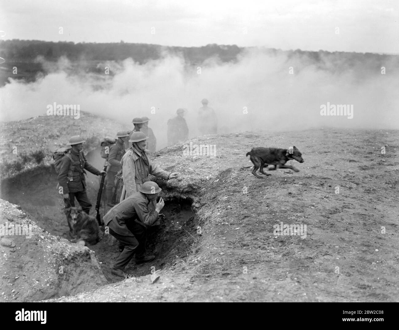 Training dogs at the War Dog's Training School at Lyndhurst. A dispatch