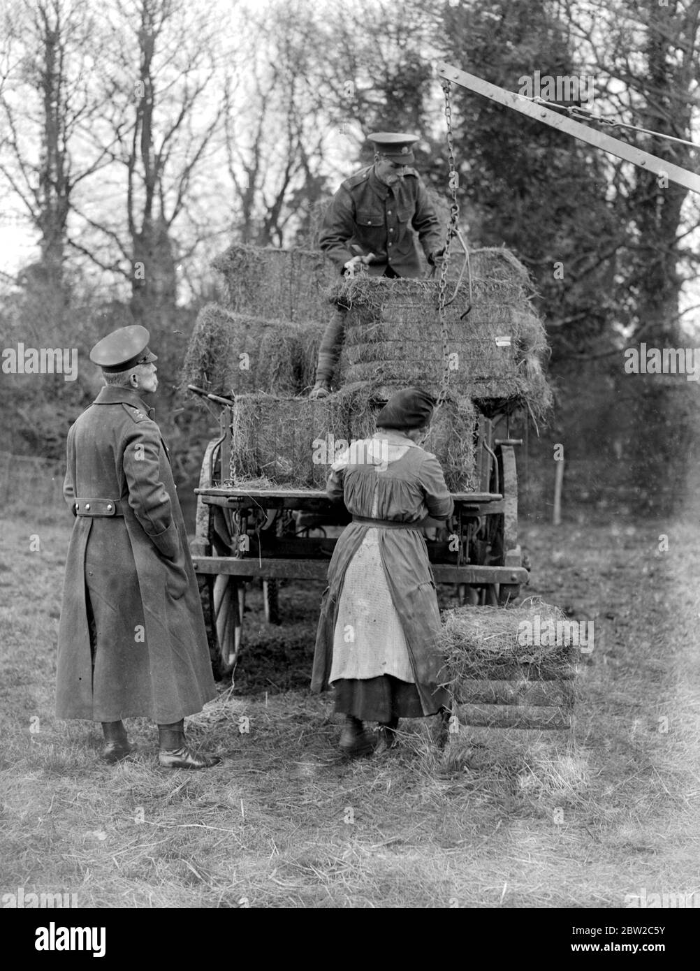 Women assist A.S.C. Forage Dept., Shepperton. 1914-1918 Stock Photo