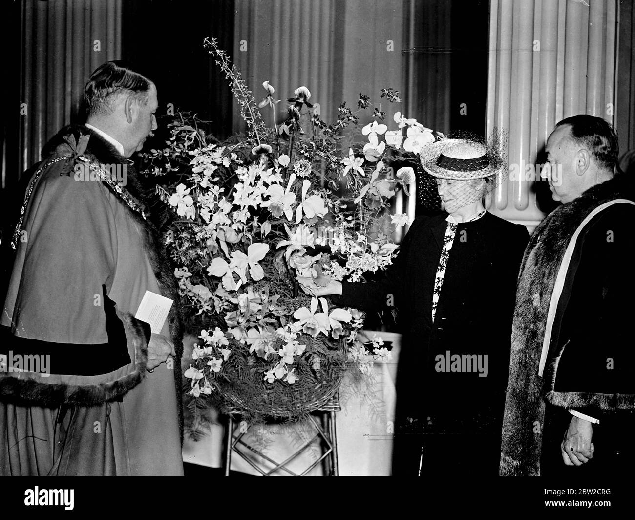 Including a bloom of every known species of orchid, the annual presentation by the Worshipful Company of Gardeners to the Lord Mayor of London of fruit, flowers and vegetables took place at the Mansion House, London. The gifts, made in accordance with the custom 300 years old, is in lieu of tax levied on Cheapside. Photo shows: The Lady Mayoress, Sir Frank Bowater, receiving the basket of every known species of orchid at that Mansion House, from Mr Ernest Thornton Smith, master of the Worshipful Company of Gardeners. The one the Lady Mayoress is holding is an orchid flower named Lady Frank Bow Stock Photo