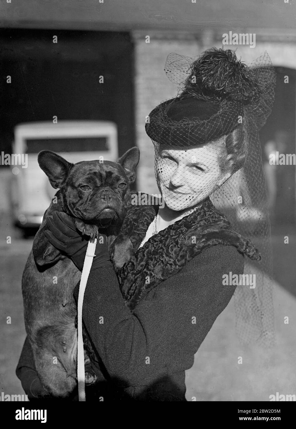 The Show of the Keeshon club and French Bulldog club is taking place at Tattershall, Knightsbridge, London. Photo shows: an attractive veiled hat worn by Mrs George Stephens, who is holding Jennifer of Silpho, a French Bulldog exhibited by Mrs David Sugden. 26 October 1938 Stock Photo