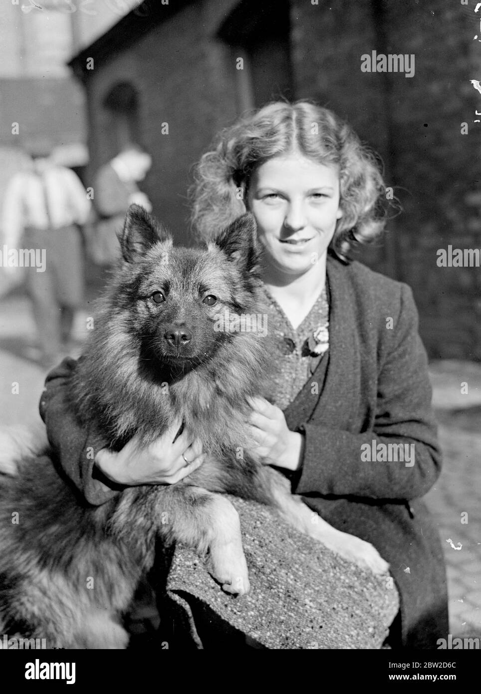 The Show of the Keeshon club and French Bulldog club is taking place at Tattershall, Knightsbridge, London. Photo shows: Miss Bunty Young of Whistable with her Keeshon Kimyl van Alkmaar. 26 October 1938 Stock Photo