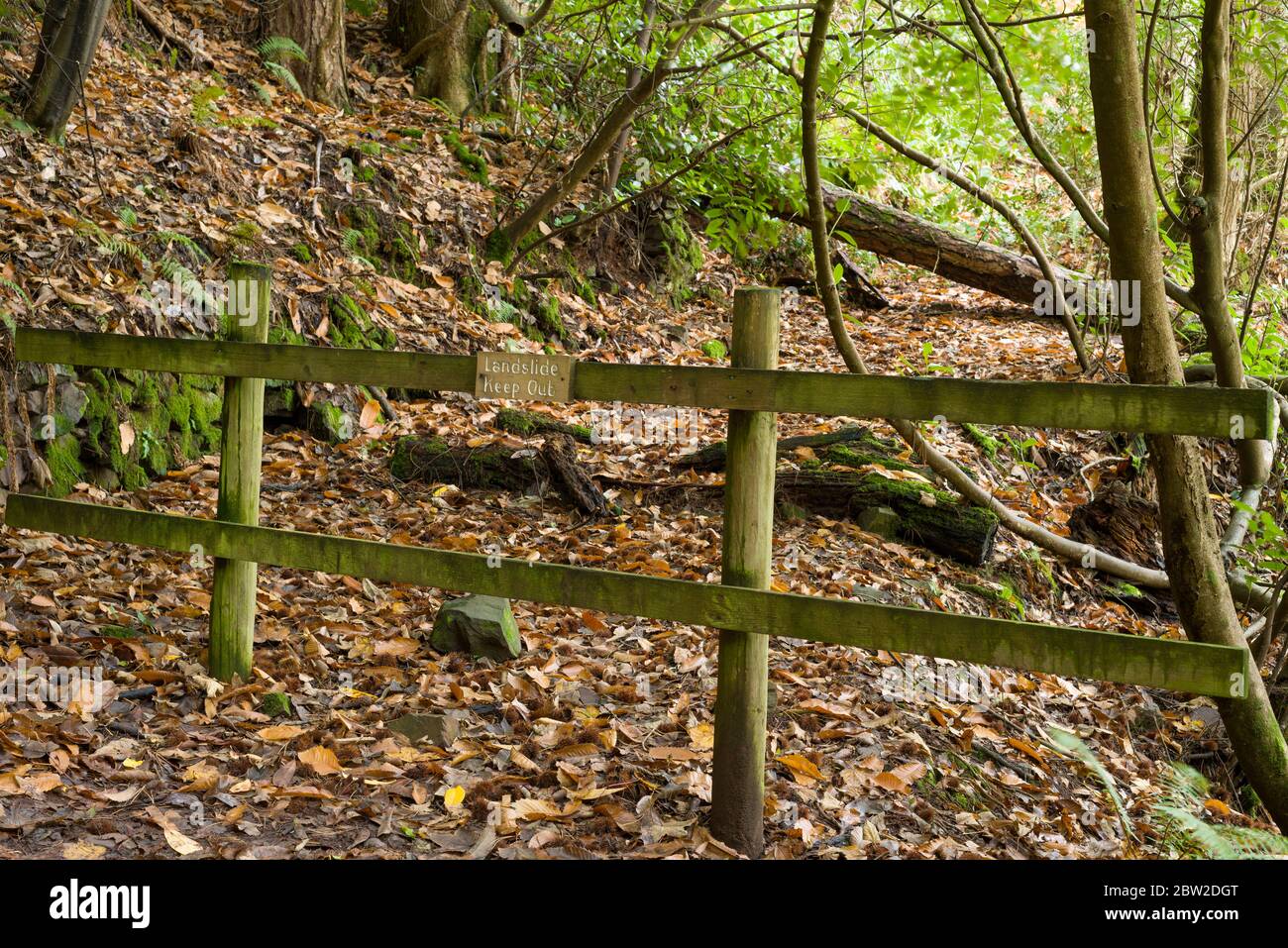 A closed portion of the South West Coast Path in Yearnor Wood due to landslides in the Exmoor National Park, Somerset, England. Stock Photo