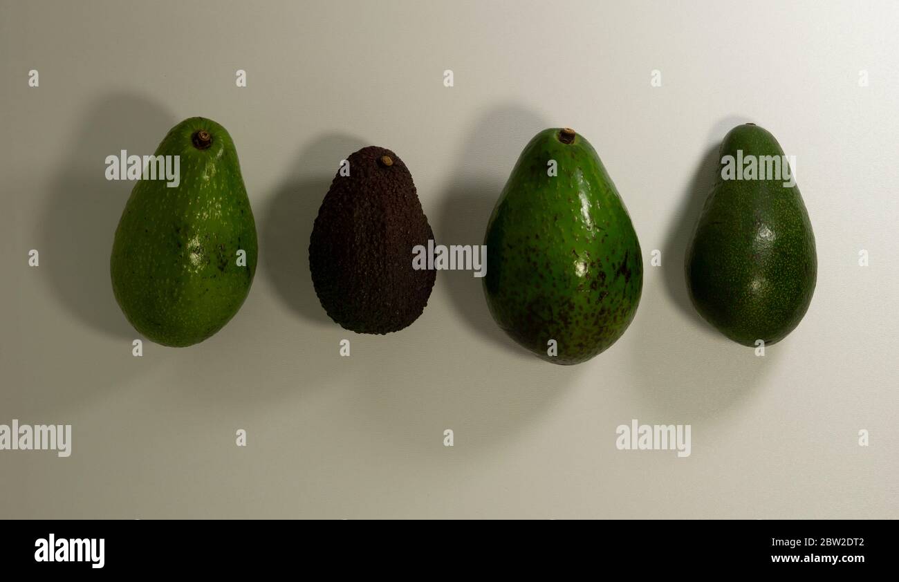 Four avocado of different varieties. Hass, Pinkerton, Bacon and Fuerte