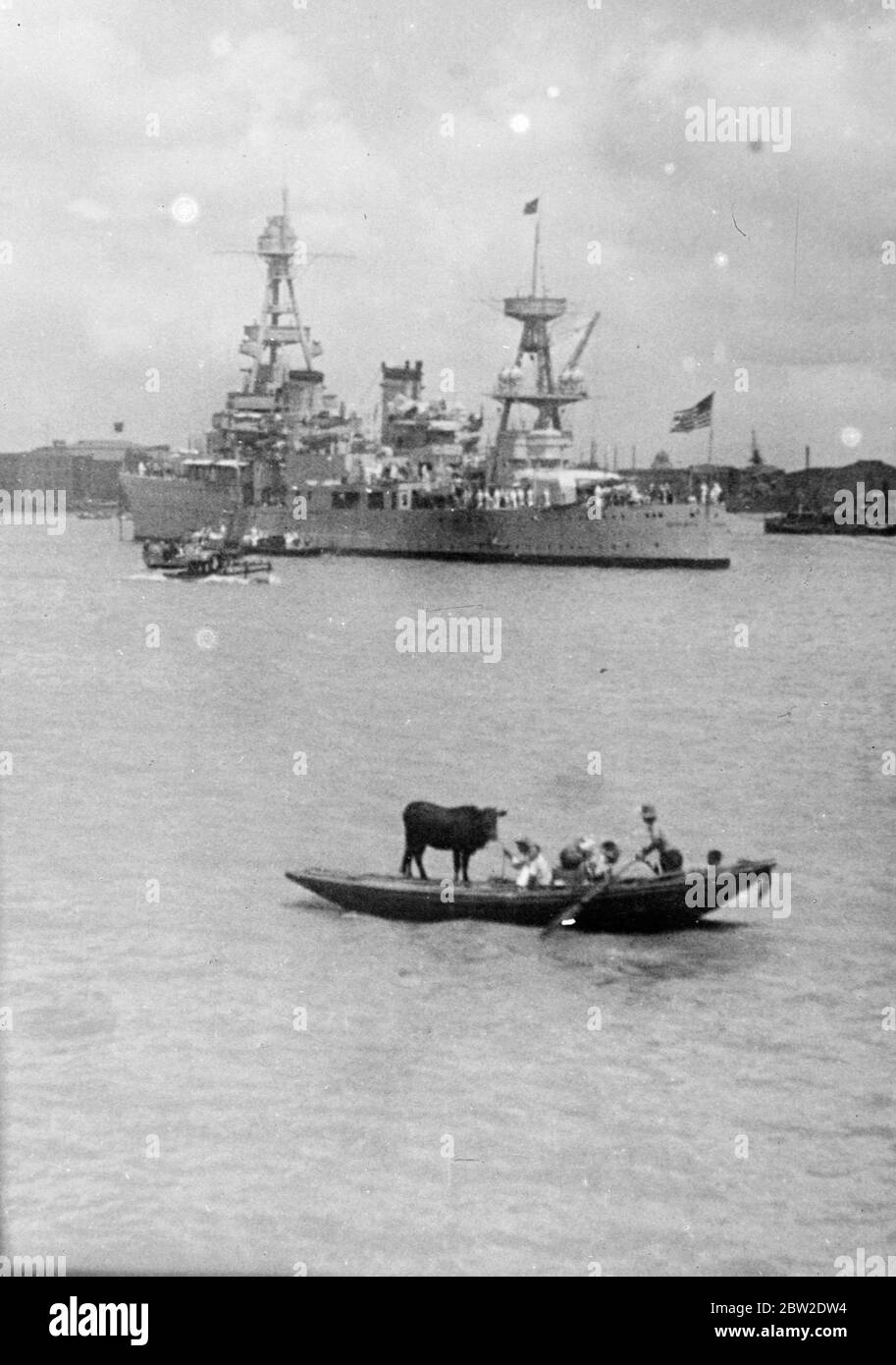 Shanghai family made homeless by Japanese bombs, escaped down the Whangpoo River with their most valuable possession-able-perched in the stern of the boat. In the background as the United States flagship Augusta owing to the bombardment of the country areas few cattle remain and those that are less such fabulous prices. Naturally the owners get great trouble to protect them and this picture shows only one of the fantastic ways in which animals can be transported. 12 October 1937. Stock Photo