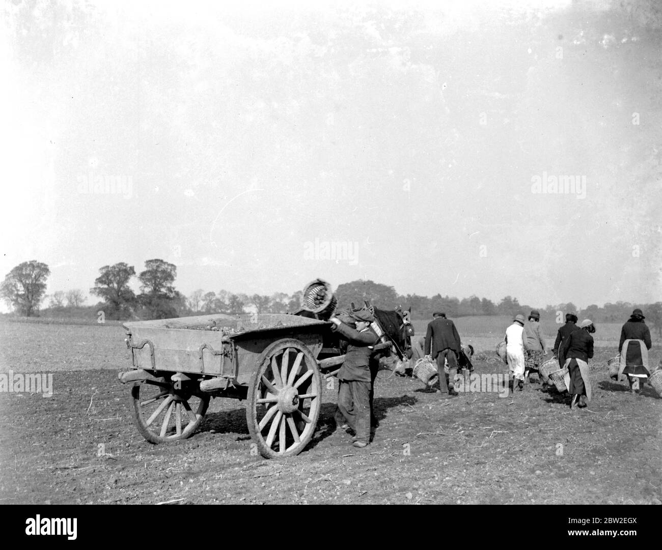 Farming sowing Black and White Stock Photos & Images - Alamy
