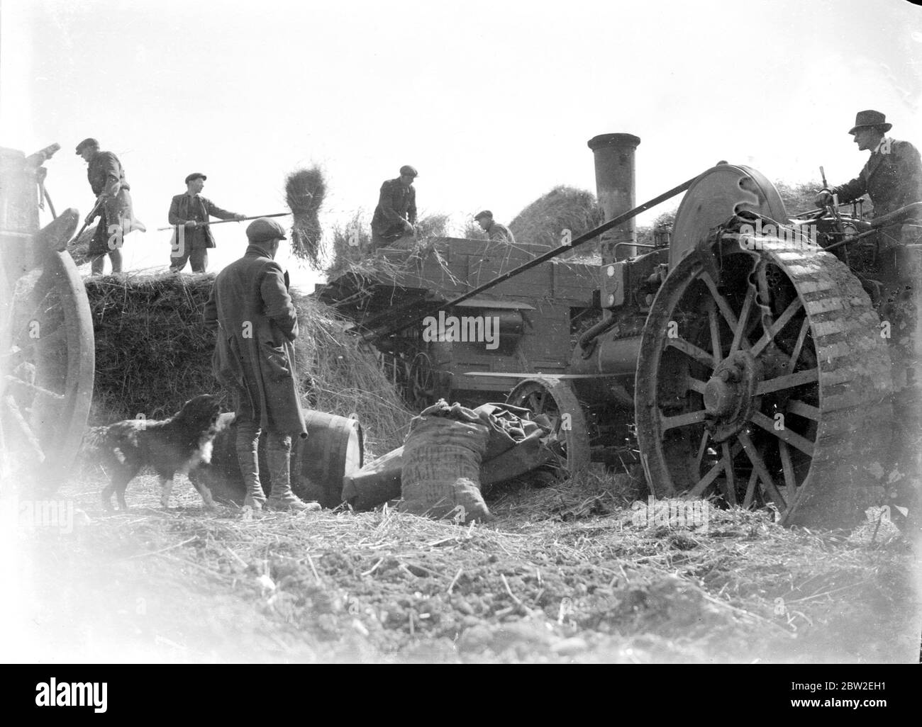 Threshing in 1934 Aveling and Porter Traction Engine built 1920 8hp compound cylinder engine PB9810 owned by Bruce Harwood Dolling of Fearn Bank, Eynsford Stock Photo