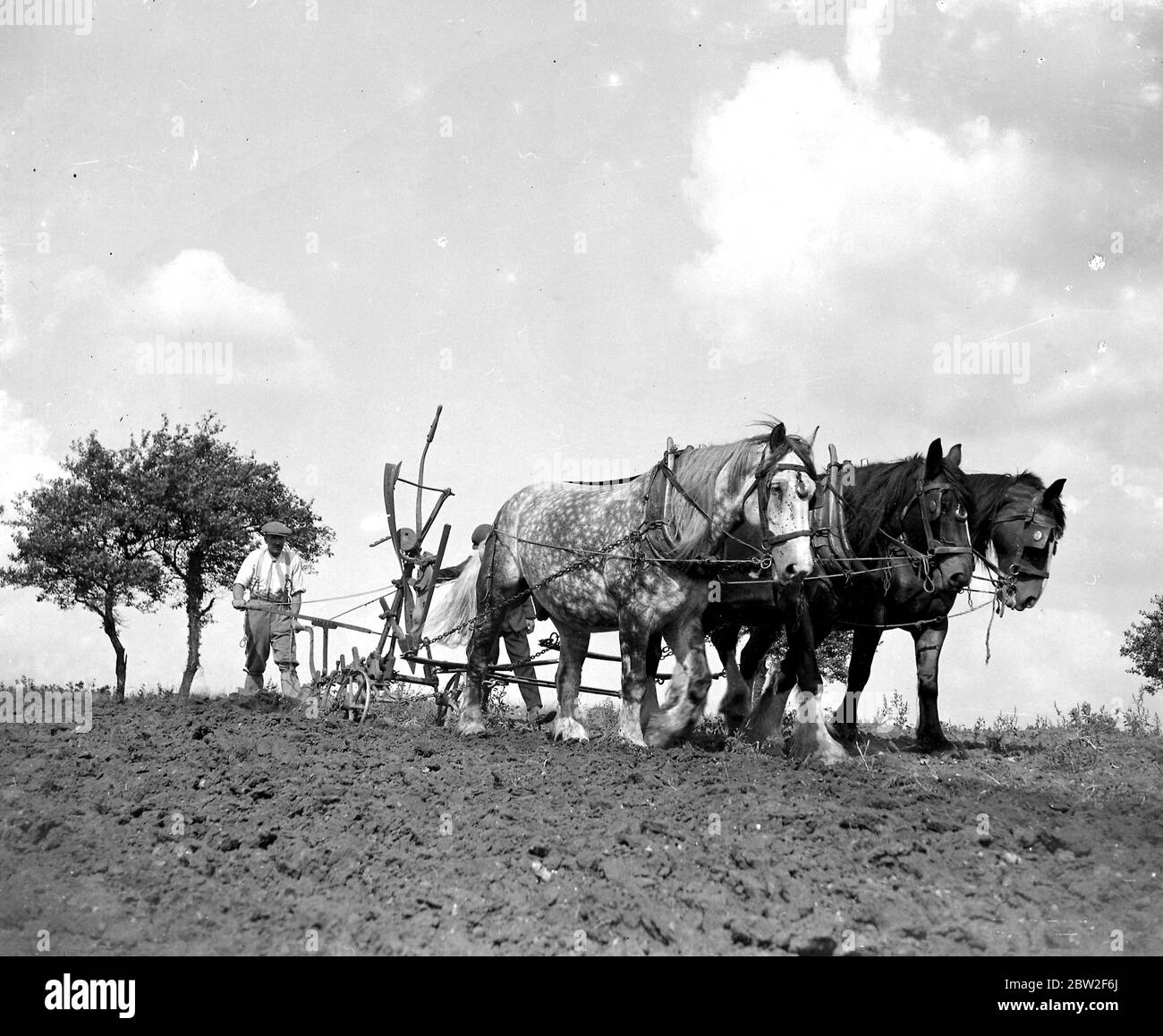 Ploughing Scene. 1934 Stock Photo