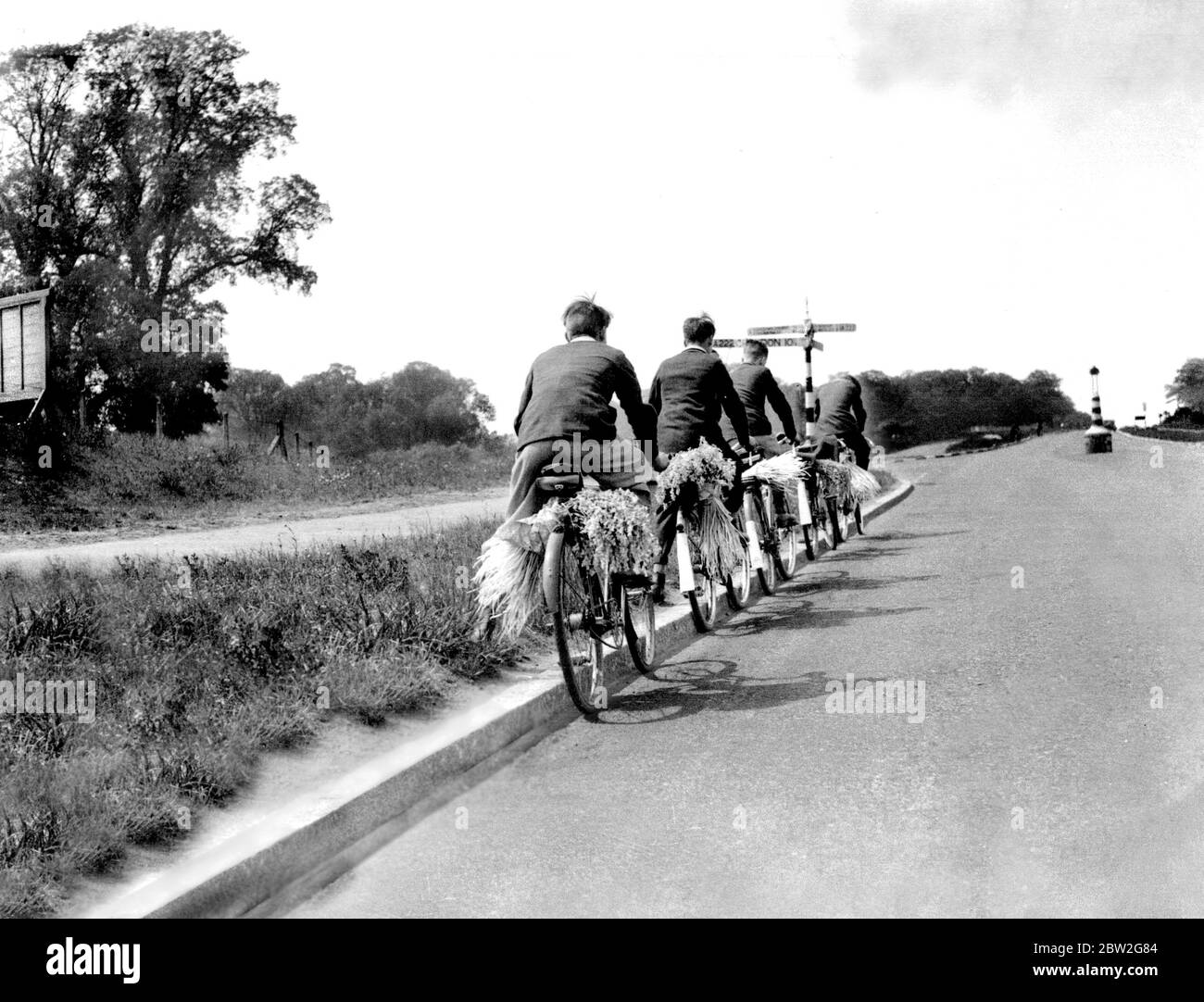 Cycling became a popular sport. These Cyclists had been bluebell gathering Stock Photo