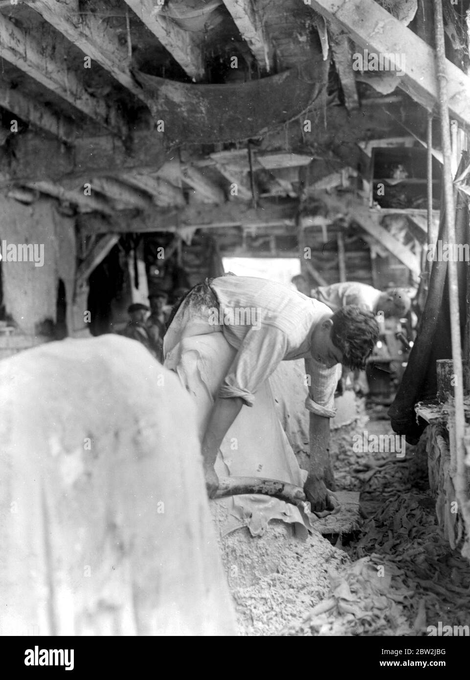 The Chamois Leather Industry at Hackbridge ( J. Beach and Son