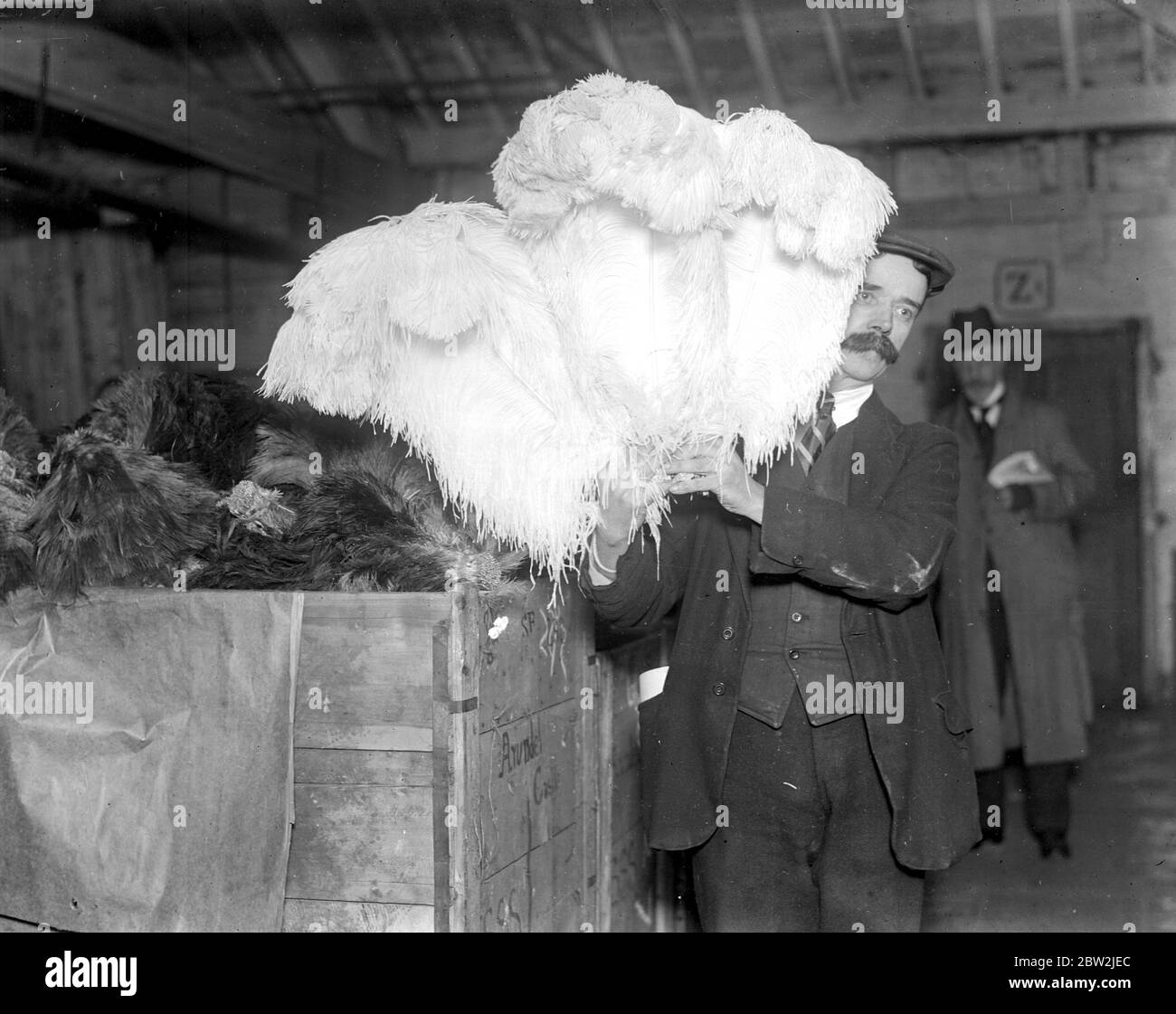 Â£170,000 worth of feathers . In Mincing Lane there will be talk of  White Spads  Byokis and Boos , as one of the infrequent feather sales occurs and purchasers from all over Europe and America will be in London to get supplies . The feathers are seen photographed at the port of London Authority warehouses . Ostrich feathers of exceptional beauty have fetched as much as $5 an ounce . Unpacking sone of the 3,800 cases of feathers . Ostrich feathers on show ready for Valuer's inspection . A cascade of beauty, ostrich feathers 20ins long . [no date] Stock Photo