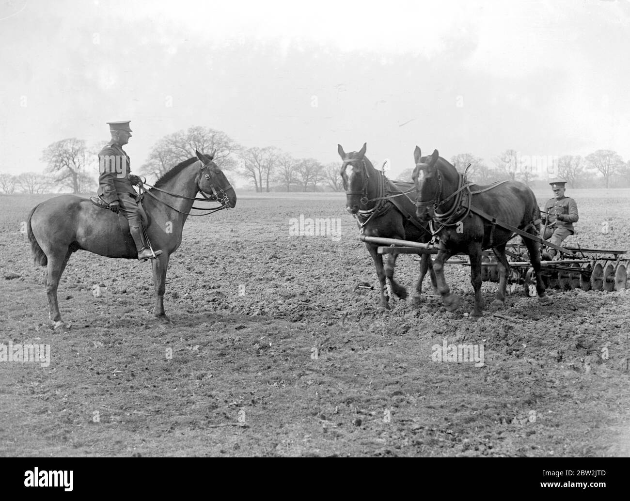 Canadian Soldiers in training in Windsor Great Park run a model farm. Photo Shows: The disc-harrow at work - This is an essentially canandian implement and was specially imported by sergent Major Bates for this work. 17 April 1917 Stock Photo