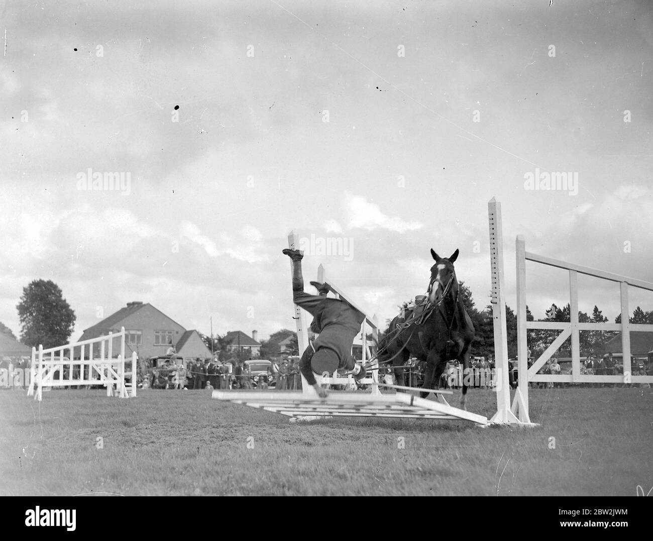 Show Jumping at Westerham Show Hall in Kent. A nasty fall. 1934 Stock Photo