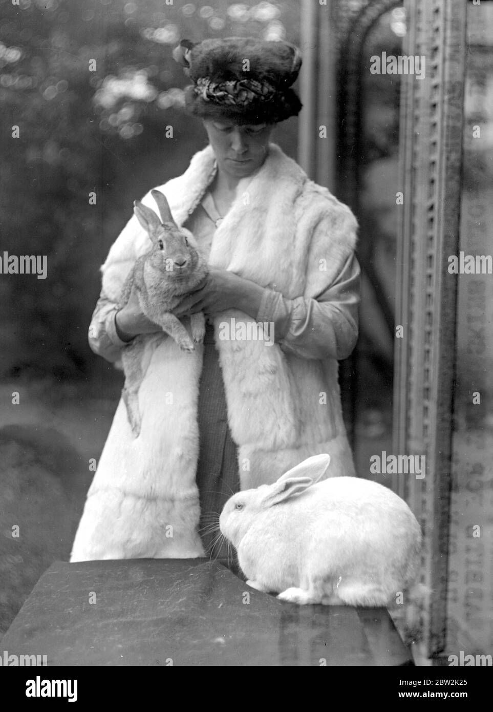 Rabbit Furs . Amoment is on foot to encourage the rearing of rabbits for their skins which when dresses and made up clearly resemble more expensive furs . Morden Grange , Mitcham , with two of her rabbits and wearing a stole made from skins of her rabbits . 18 November 1920 Stock Photo