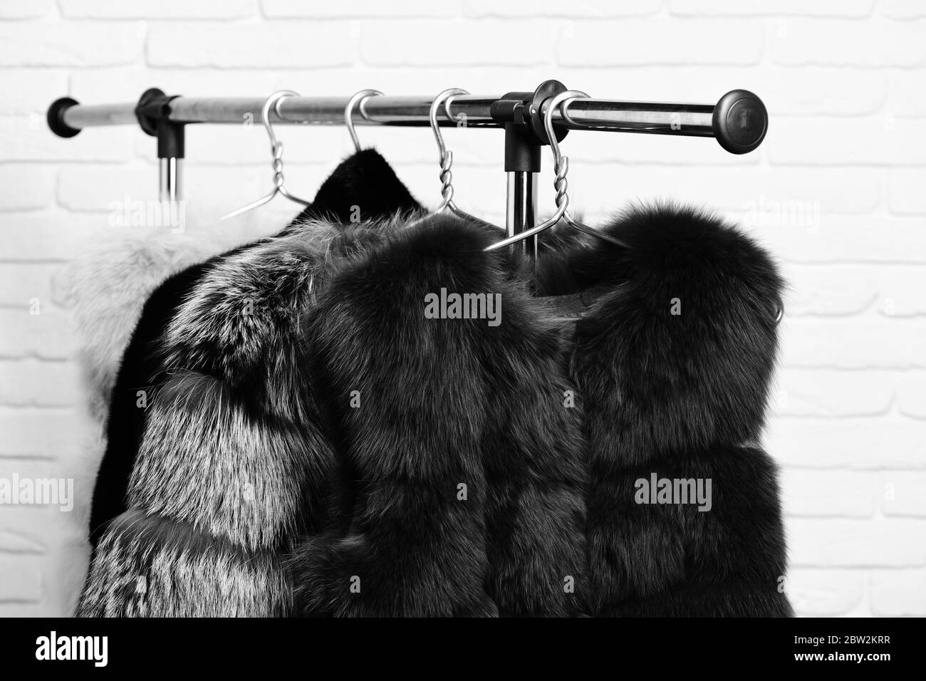 fashionable luxurious waist coats of fur hanging on rack on golden hangers on brick wall studio