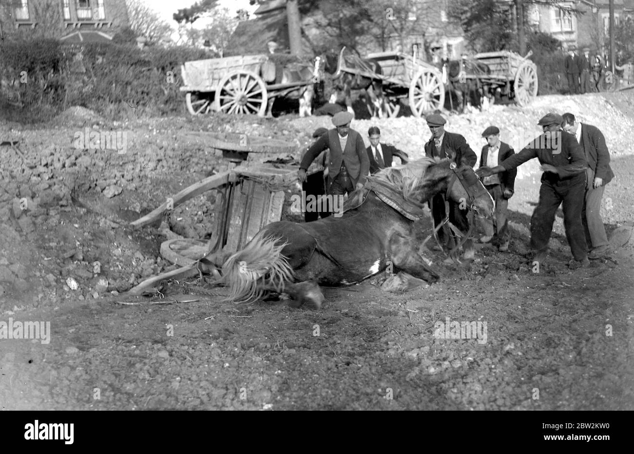 Horse mishap, overturned cart, fallen down horse (Sidcup Hill). 1934 Stock Photo