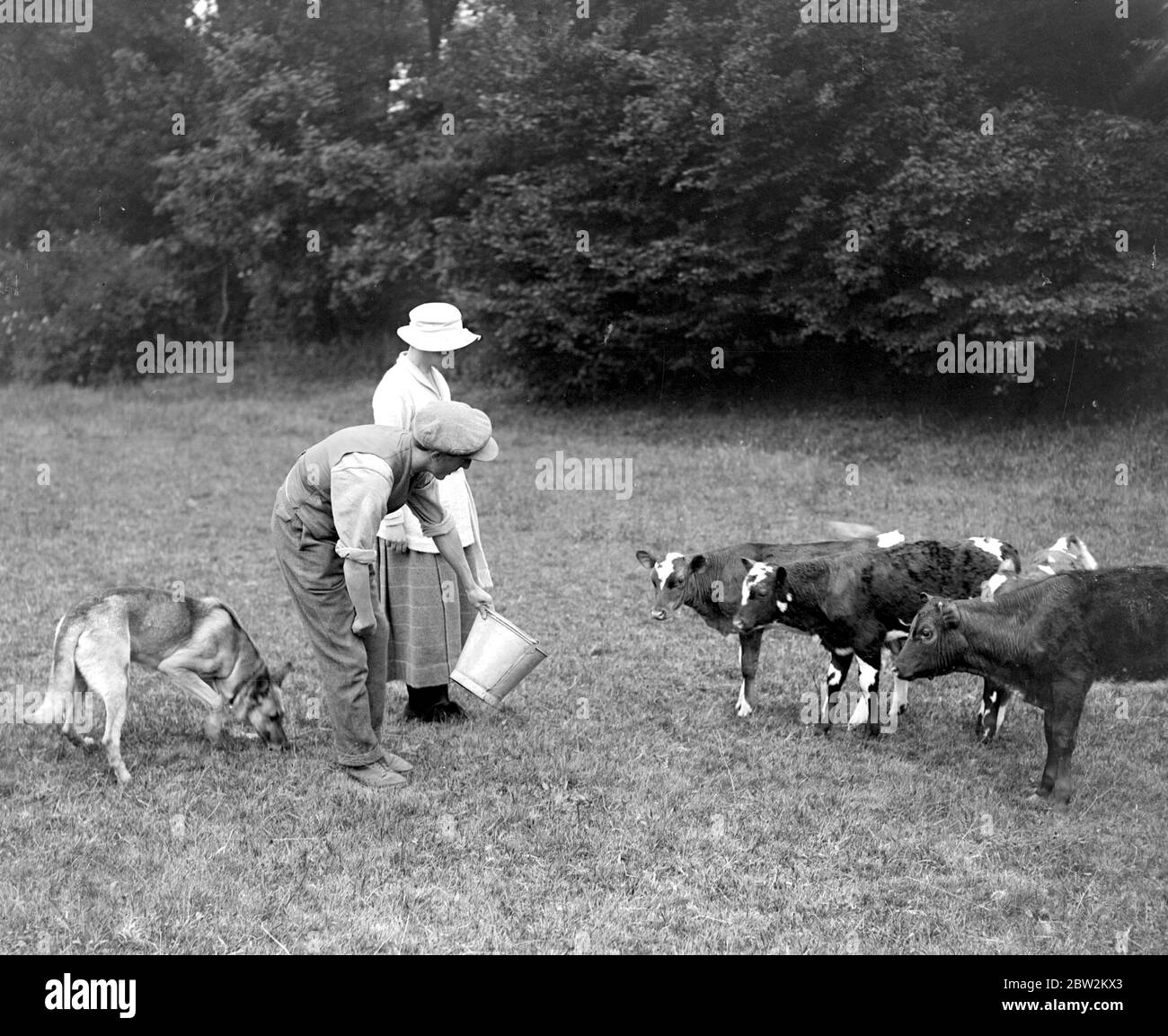 Soldiers and animals Black and White Stock Photos & Images - Alamy